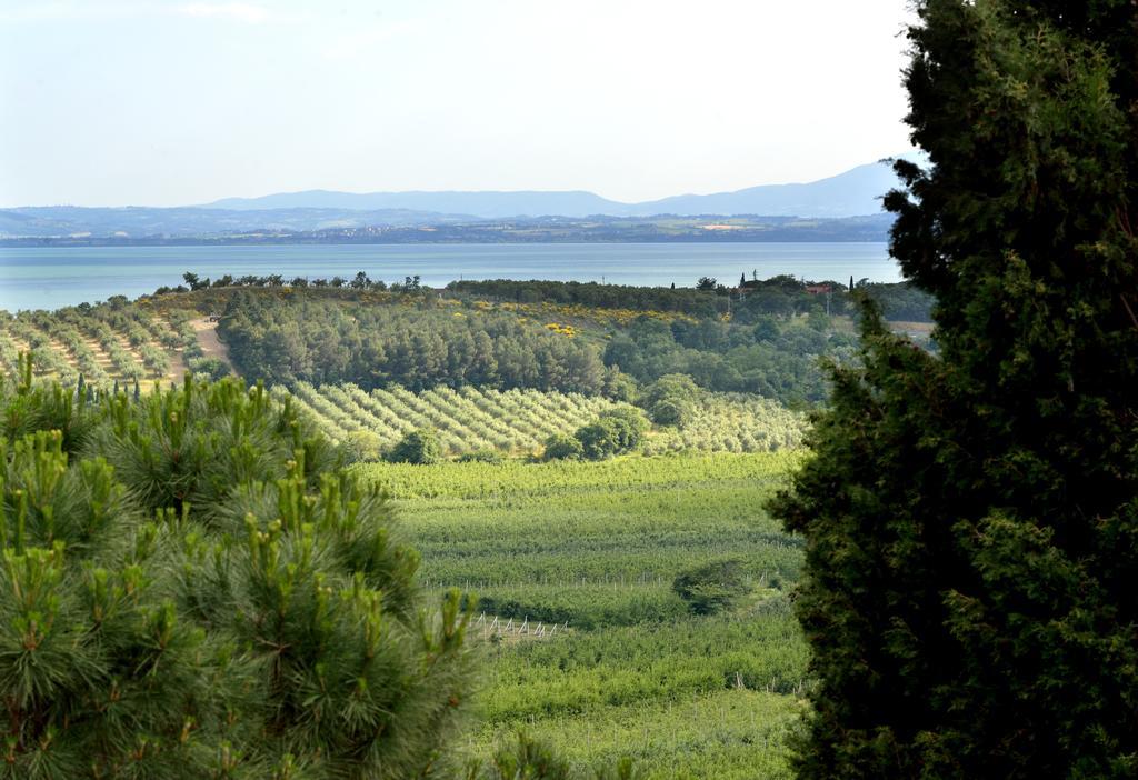 Agriturismo San Severo Passignano sul Trasimeno Eksteriør bilde